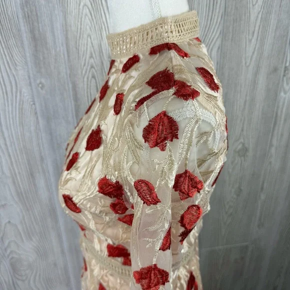 boutique floral embroidered midi dress M vintage look victorian fit & flare NWOT - Picture 6 of 12